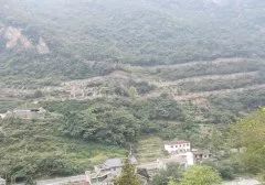 被动防护网
