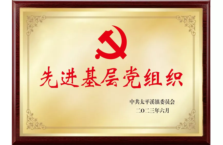 先进基层党组织